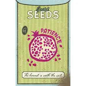 Spirited Seeds of Patience