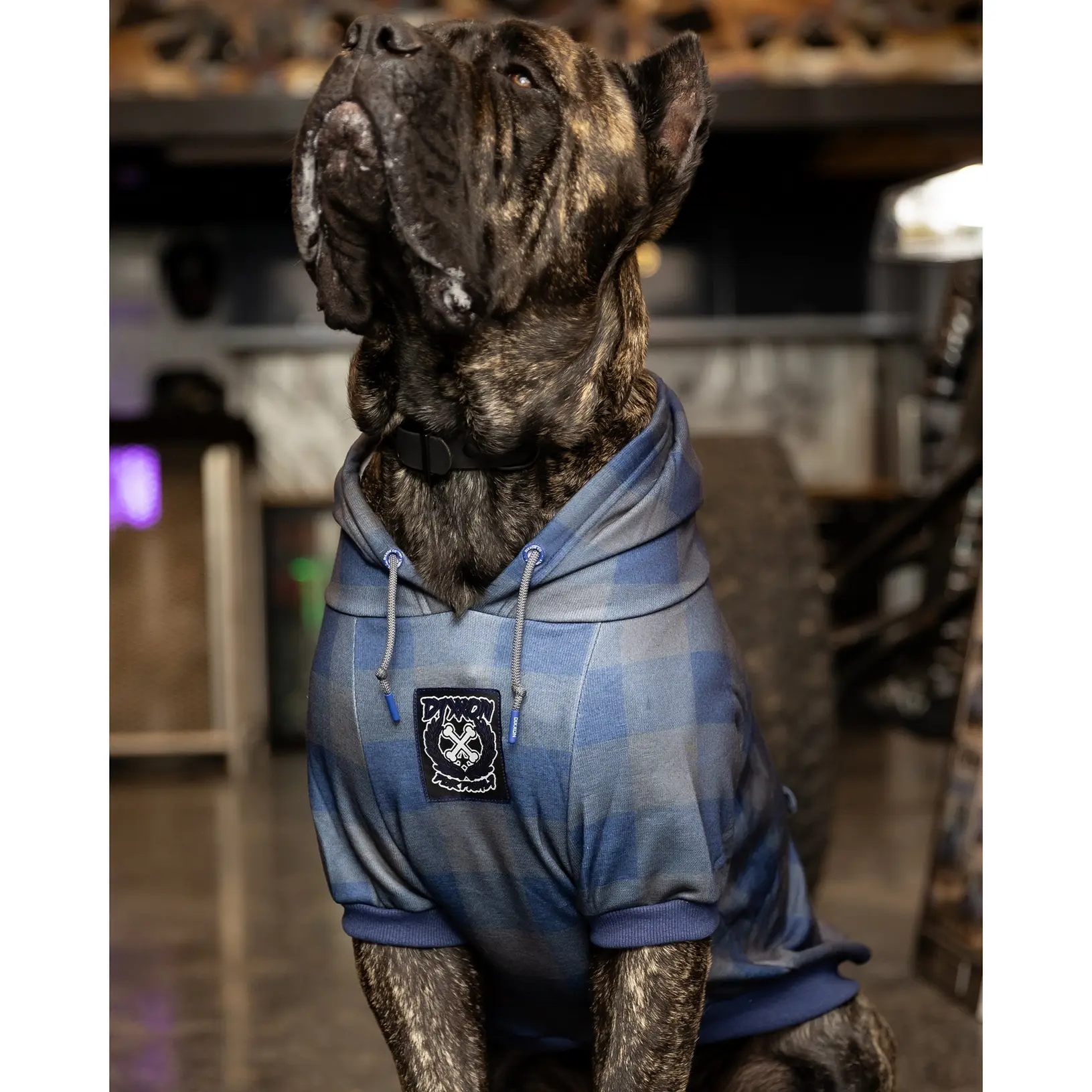 Dog Hoodie - 0 Dark 30