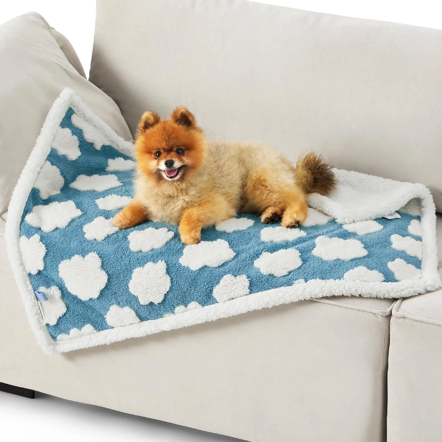 Lesure Waterproof Pet Blanket for Dogs & Cats -Sided Jacquard Shag & Sherpa Fleece Blanket For Pets And Humans, 3D Textured Cloud Pattern, Machine Washable, Durable & Portable, Soft Couch Protector, Versatile Pet Blanket