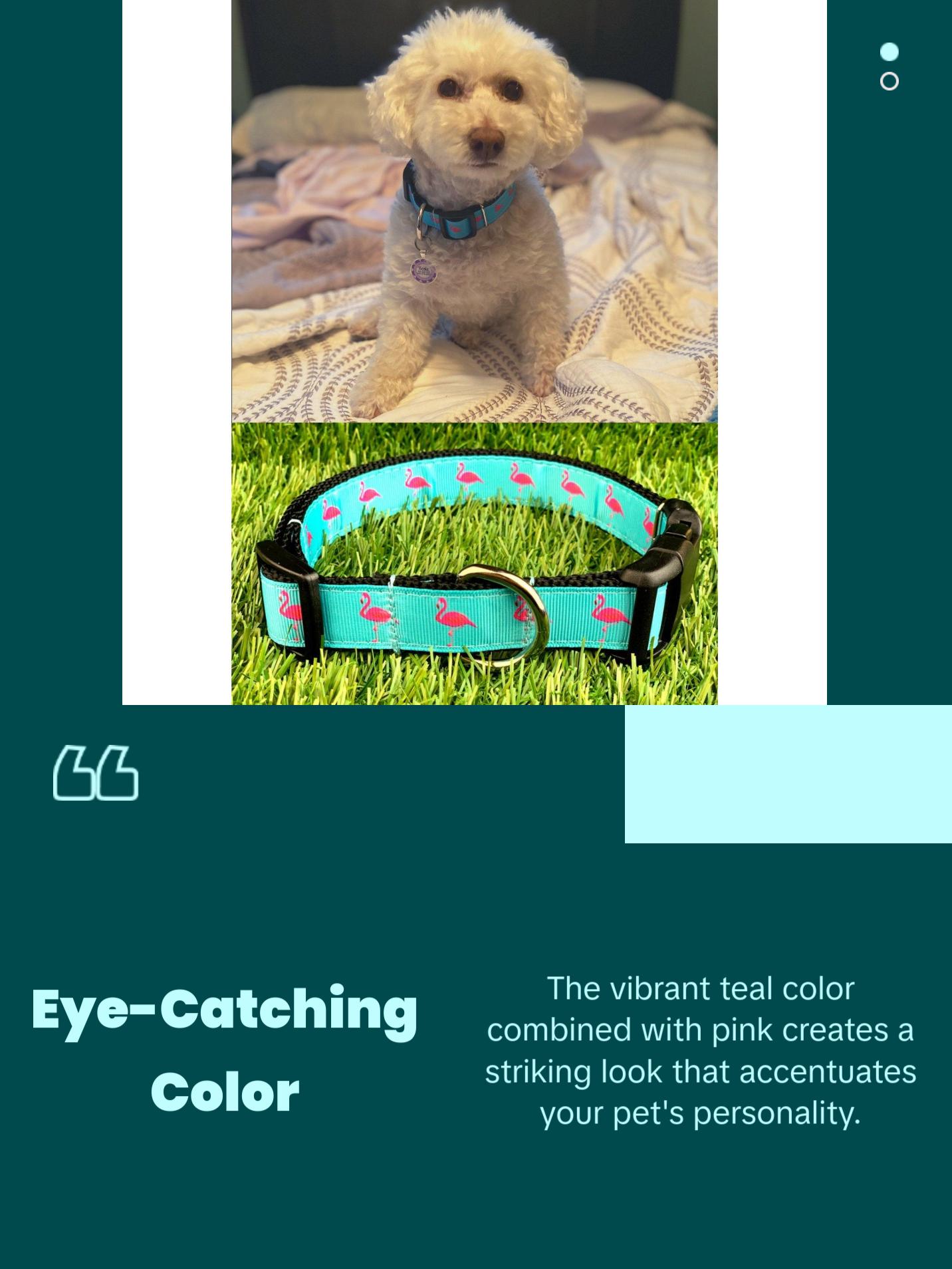 Teal Pink Flamingo Dog Collar