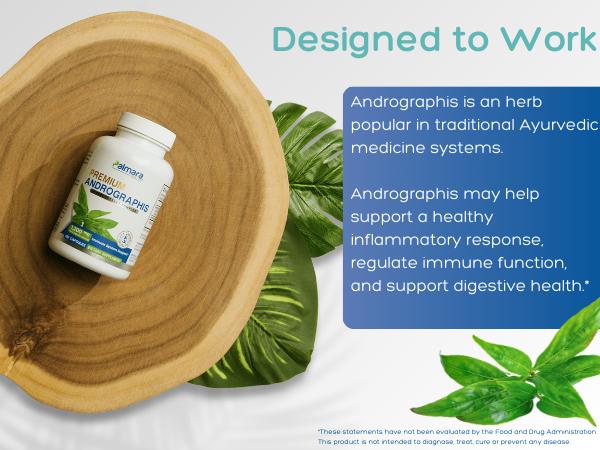 Andrographis Ancient Herb for Immune Support – 1,200mg per Serving, 120 Vegan Capsules | Palmara Health