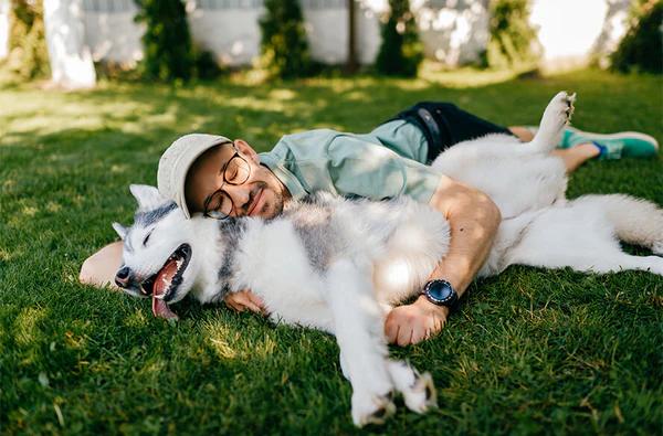 Pawprint Lab Liquid Longevity Supplement for Dogs - Science Backed Protocol Boosts Health Span Energy & Brain Function - 90 Days Money Back Guarantee